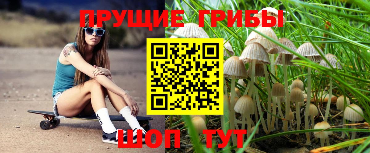 Псилоцибиновые грибы Cubensis  Вход с VPN  Галлюциногенные грибы MAGIC MUSHROOMS  Прокопьевск 